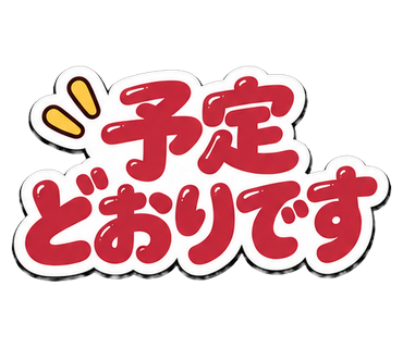 予定どおりです